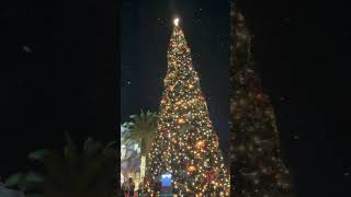 Christmas at Disney Springs disney disneyworld disneysprings snow christmas florida shorts [upl. by Channa]