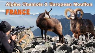 Mouflon amp Chamois hunting in France  Chasse au Mouflon et Chamois en France  2022 [upl. by Lapham641]