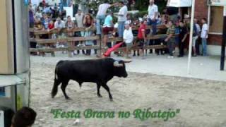 Alcochete Festas do Barrete Verde e das Salinas 2010 Largada de Toiros no dia 11 Agosto [upl. by Aznaed824]