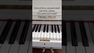 Чистая правда piano pianist music pianomusic classicalmusic рекомендации фортепиано музыка [upl. by Hemminger486]