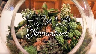 Make a Succulent Terrarium  How to Terrarium ep 1 [upl. by Helga]