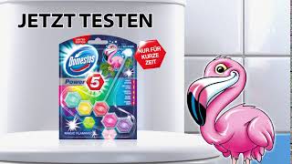 Domestos Power 5 Flamingo Edition  Jetzt testen [upl. by Bej]