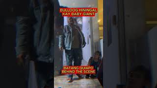 BULLDOG HININGAL KAY BABY GIANT batangquiapo cocomartinbehindthescenefpjsbatangquiapobabygiant [upl. by Ecniuq]