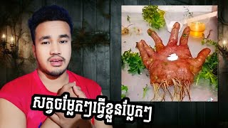 វីដេអូប្លែកៗចម្លែកៗលើកពិភពលោក [upl. by Fryd]