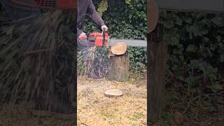 Homelite 450 32in Bar Full Skip Cutting vintagechainsaw [upl. by Laehcym520]