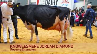 Holstein Grand ChampionPeak Goldwyn RhapsodyUK Dairy Expo [upl. by Murdoch]