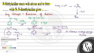 NMethylaniline reacts with nitrous acid to form while N Ndimethylaniline gives [upl. by Lleihsad289]