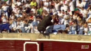 Enraged Bull Leaps into Stands  Worlds Scariest Animal Attacks [upl. by Gilburt903]