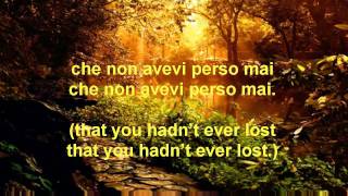 Andrea Bocelli  La Voce Del Silenzio English Translation [upl. by Alodie722]