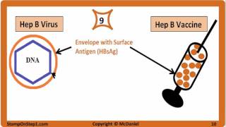 Viral Hepatitis Hepatitis A Hepatitis B Hepatitis C HBsAg HBeAg Vaccine HCV HBV HBsAb [upl. by Ecneps606]