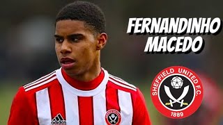 Fernandinho Macedo • Sheffield United • Highlights Video Goals Assists Skills [upl. by Ytisahc]