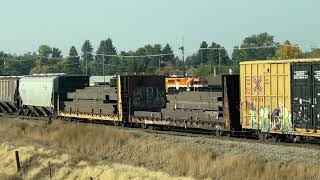 Idaho falls yard with a mixed consist [upl. by Shaina182]