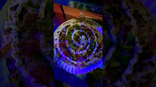 World Smallest Pizza looks like a pie😱 pizza pie food challenge pizzalover [upl. by Aihsit]