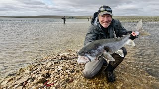 fly fishing for namaycush in NunavutCanada [upl. by Thadeus579]