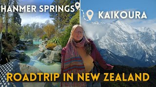 New Zealands Hidden Gems Hot Springs Adventure in Hanmer Springs amp Kaikoura  NZ Roadtrip Vlog [upl. by Eisseb881]