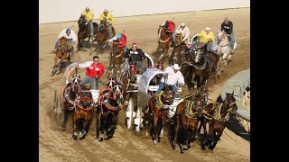 Hotcakes to High Stakes The Modern Chuckwagon Race [upl. by Dlorej179]