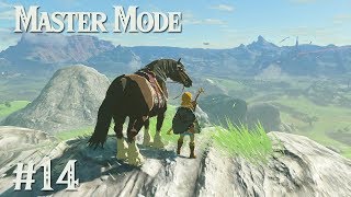 AN EPIC HORSE TALE Zelda BotW MASTER MODE 14 [upl. by Bonis155]