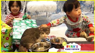 Meet our new cats and Ryan open presents on Christmas Morning 2017 [upl. by Mcclenaghan721]