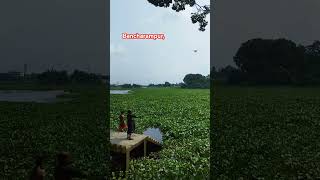 Titas River Bancharampur Brahmanbaria [upl. by Allemahs423]