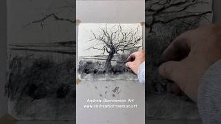 Charcoal sketch  Hawthorn tree artwork charcoaldrawing charcoalonpaper [upl. by Chin]