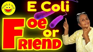 What causes E Coli UTI Infection  How E Coli causes UTI  E Coli UTI microbiology [upl. by Ayamat]