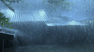 Fall into Sleep in 3 Minutes with Heavy Rain amp Thunder Intense Sounds on Tin Roof  REAL RAIN [upl. by Yllib521]