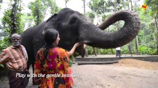 Kerala Holidays amp Tourism Gods Own Country Kerala with MakeMyTrip [upl. by Aillimac]