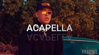 Bad Bunny  Amorfoda Acapella Studio [upl. by Wernda]