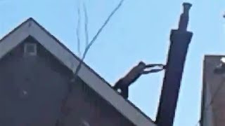 Angry Neighbor Knocks over Chimney [upl. by Calla76]