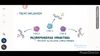 NEURAMINIDASE INHIBITORS [upl. by Baalman]