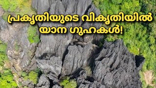 യാന ഗുഹയിലെ രഹസ്യങ്ങൾ newvideo newyoutubevideo video newfacts newscience facts [upl. by Dagny]