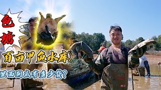 今天花61万包下一个近百亩的甲鱼水库，最后到底是亏是赚 [upl. by Lewse274]