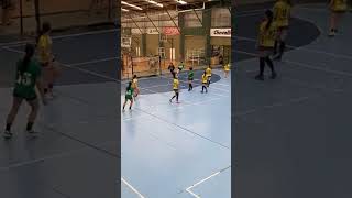 handball balonmano handballpic handballer handboll 2024 deportes goals handballmatch ferro [upl. by Meave605]