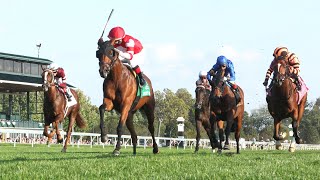 MINARET STATION wins the G1 Castel amp Key Bourbon Stakes [upl. by Enyallij77]