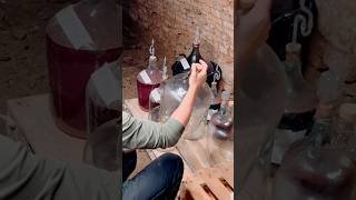 Cleaning demijohns for wine organicwine winemaking [upl. by Ennairam898]