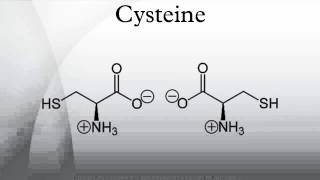 Cysteine [upl. by Nuahsak460]