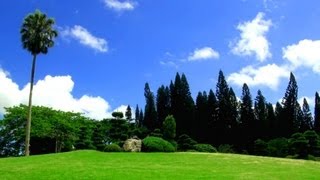 Relaxing Music  Over 100 Exotic Landscapes Nature Sounds  Relax TV 3 Hours [upl. by Hephzibah]