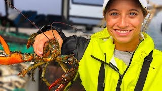 Catch amp Cook Maine Lobster amp Rock Crab  Field Trips Maine  Field Trips with Robert Field [upl. by Harrak]