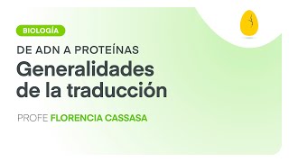 Generalidades de traducción  Biología  De ADN a proteínas  V6  Egg Educación [upl. by Nitneuq128]