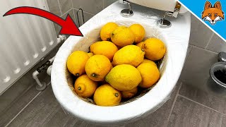 THATS WHY you should put LEMONS in your toilet 💥 cleaning trick 🤯 [upl. by Lybis286]