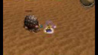 Metin2 PL  FuBu Vs Giant Desert Tortoise [upl. by Milty113]