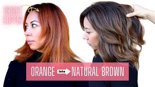 THIS is how I fix orange on brown hair😱 haircolorcorrection orangetobrownhair [upl. by Notsnhoj213]