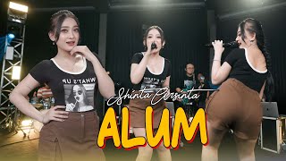 ALUM  SHINTA ARSINTA Official Music Live [upl. by Etsirhc56]