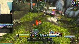 WOW Cataclysm 42 Guide to BM Hunter PVP Learn Basics in 400 Minutes [upl. by Nivla108]