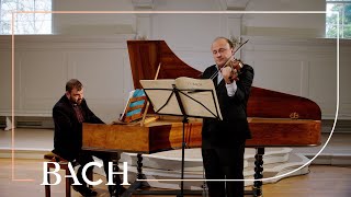 Bach  Sonata for violin and harpsichord no 2 in A major BWV 1015  Netherlands Bach Society [upl. by Rothstein]