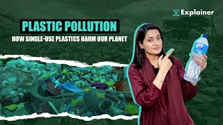 How SingleUse Plastics Harm Our Planet  Asma Riaz  IKAN [upl. by Aihsot]