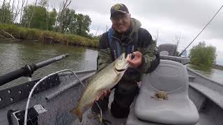 CASTING CRANKBAITS FOR KING SALMON [upl. by Otero29]