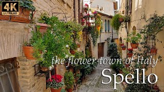 Spello Umbria the flower town of Italy  Italy Walking Tour [upl. by Georgeanna880]