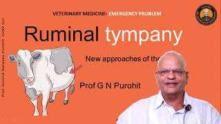 Vet Reveals LifeSaving Treatment For Acute Ruminal Tympany [upl. by Latsyrcal]