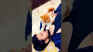 Biloni Malik Ko bevkuf banaya 🤣😂 cat billikicomedy comedy billicomedy funny memebers [upl. by Odnala]